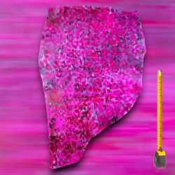 Peau de cuir Vachette Rose finition patinée