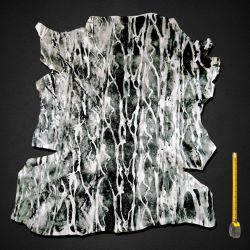 Grande peau entière de Chèvre cuir multicolore Wild Collection