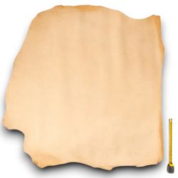 Peau entière Mouton Basane coloris Naturel