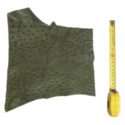 Peau d'Autruche Verte