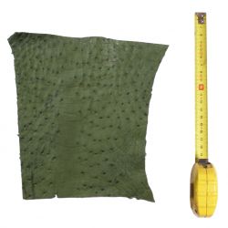 Peau d'Autruche Verte