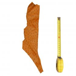 Peau d'Autruche Marron