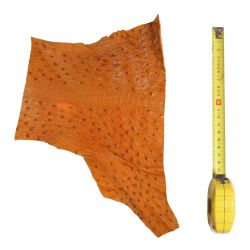 Peau d'Autruche Marron