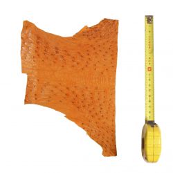 Peau d'Autruche Marron