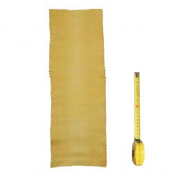Peau de Serpent Jaune