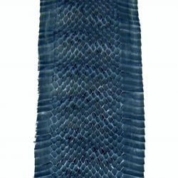 Peau de Serpent Bleue dim. 135x11cm