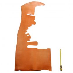 Collet Vachette ép. 3,6 mm tannage végétal Marron